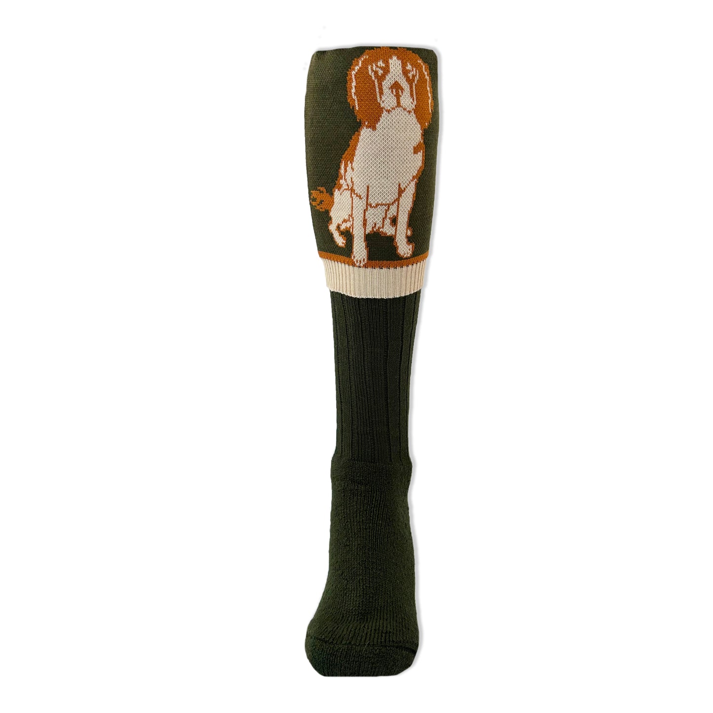 Springer Spaniel Sock Liver/White