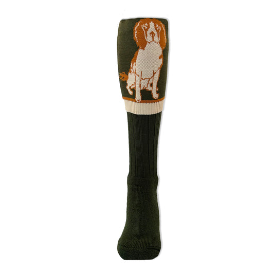 Springer Spaniel Sock Liver/White