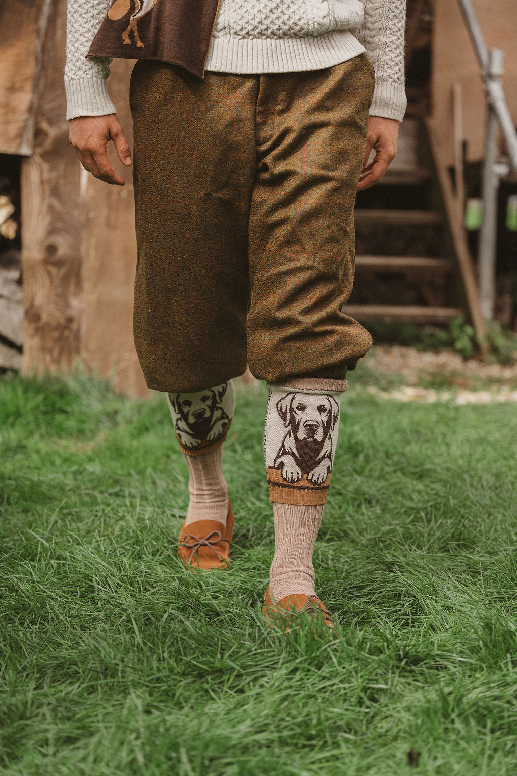 NEW IN: Loyal Labrador Socks Chocolate