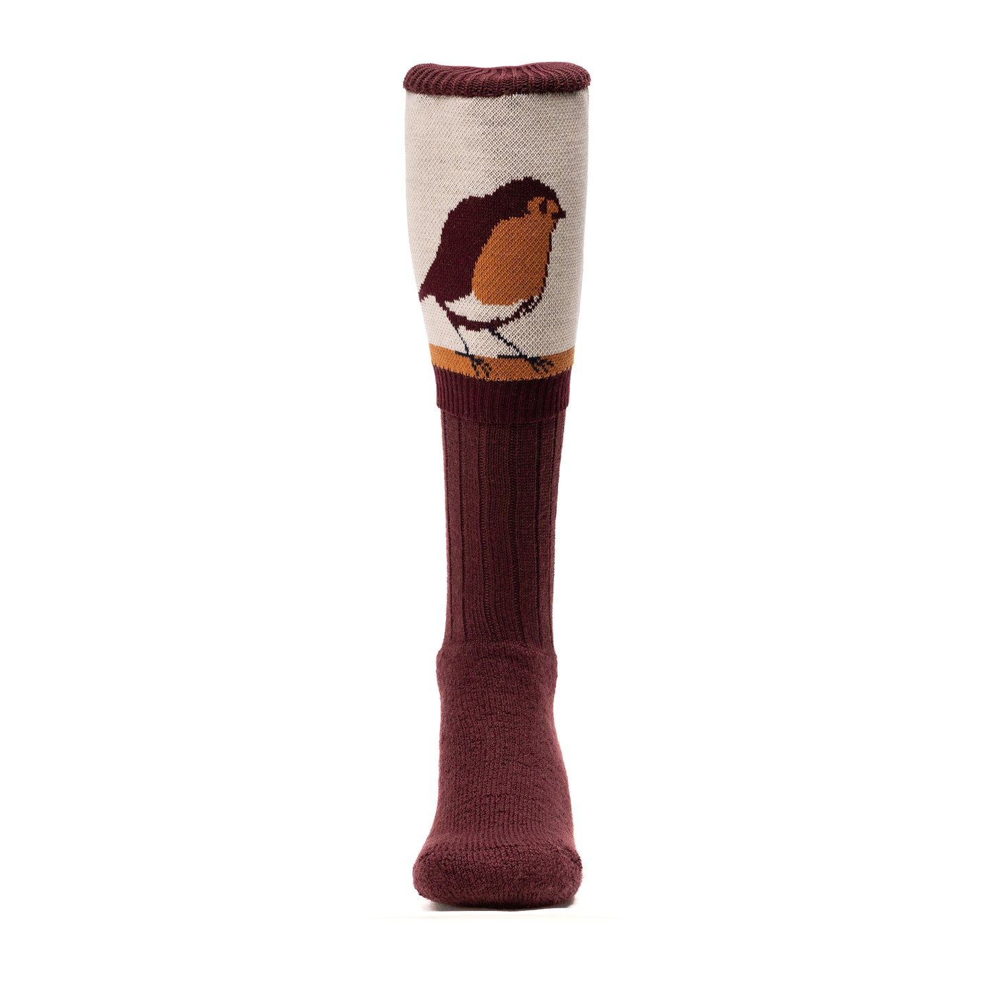 NEW IN: Watching Robin Socks