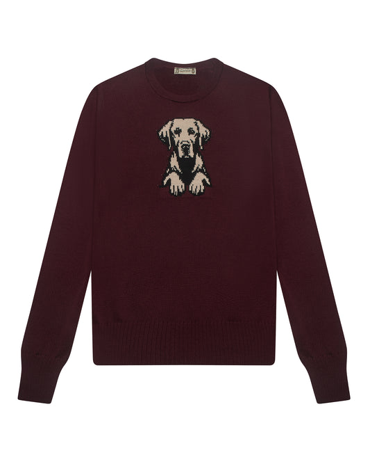 Loyal Labrador Jumper