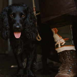 Springer Spaniel Sock