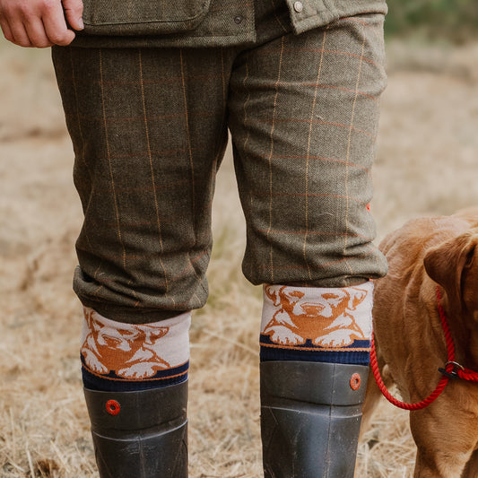 Loyal Labrador Socks Black