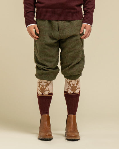 NEW IN: Loyal Labrador Socks Yellow