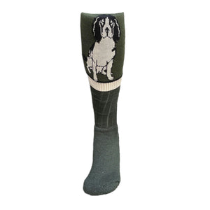 Springer Spaniel Sock