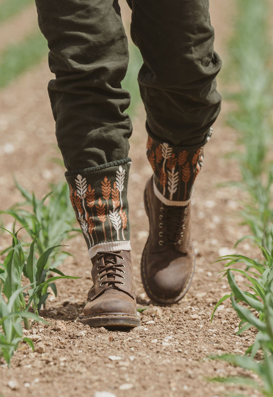 NEW IN: Harvest Stride