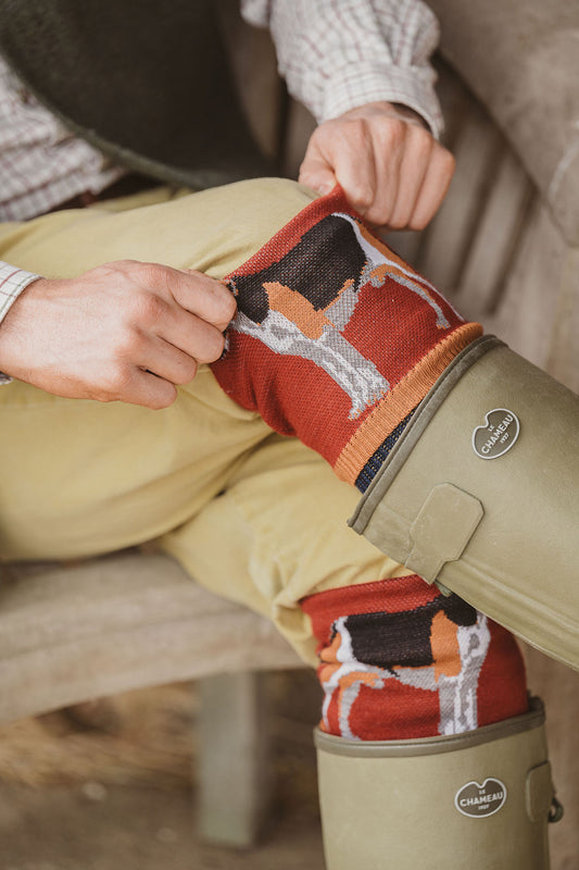 NEW IN: Hound Hiker