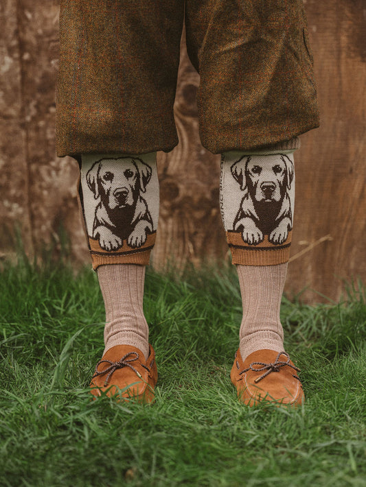 NEW IN: Loyal Labrador Socks Chocolate