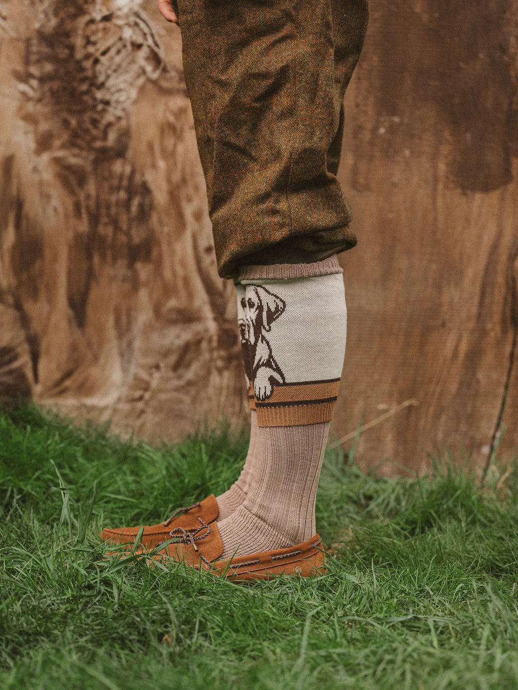 NEW IN: Loyal Labrador Socks Chocolate