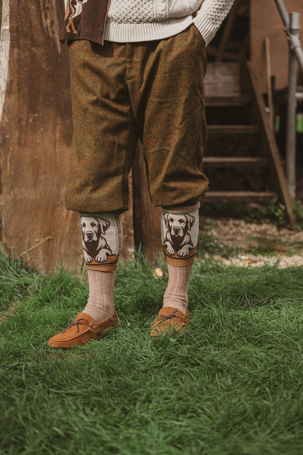 NEW IN: Loyal Labrador Socks Chocolate